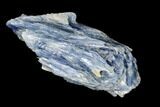 Vibrant Blue Kyanite Crystals In Quartz - Brazil #113467-1